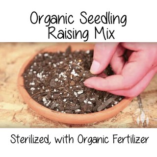 Organic Soil less potting mix seedling plants sterilized