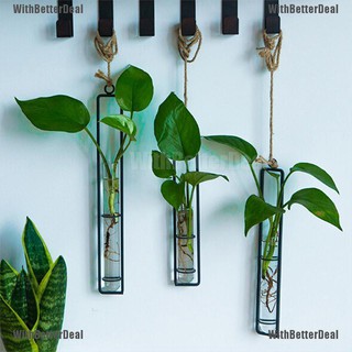 [BETTER] Creative Wall Hanging Flower Vase Iron Glass Hydroponics Planter Pot Trans