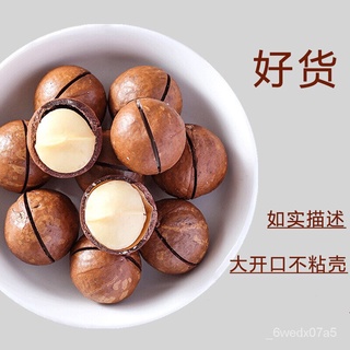 New Year Goods Macadamia Nut Net Weight Butter Flavor Snacks Hawaiian Nuts Dried Fruit Bulk Sold by