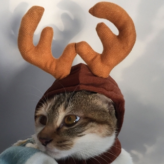 Reindeer Cap Xmas Costume Hair Decor Pet Clothes Elk Antlers Deer Horns Christmas Headbands Puppy Cat Dog (3)