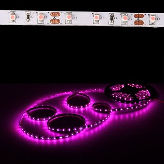 【In Stock】❤️Pink Lolor 5M 3528 SMD 300 LED Strip Light Flexible Car Auto Home Bar 12V(Not waterproof, Indoor Replacement)