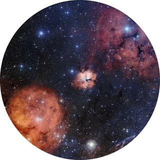Projectors Spot New2019VersionHOMESTAR Starry Sky Projector Twelve Constellation Special Series Colo