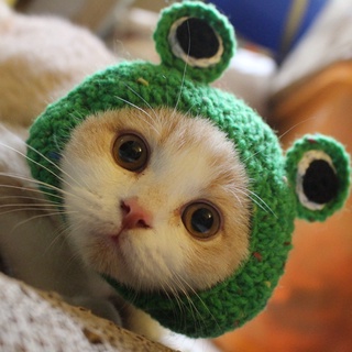 Cat headgear cartoon frog shape hand-knitted crochet cat and dog performance head accessories pet h (1)