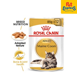 Royal Canin Feline Breed Nutrition Maine Coon Adult Wet Cat Food 85g (12 pouches)