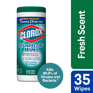 Clorox Disinfecting Wipes - Fresh Scent 35 Sheets (1)