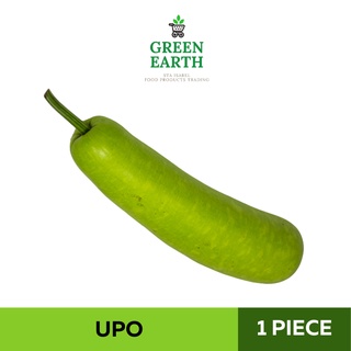 GREEN EARTH Fresh Upo - 1PC