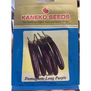 Eggplant Dumaguete Long Purple