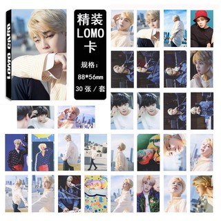 BTS Dicon LOMO LOMO card 30pcs/set (5)