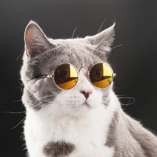 Cool Pet Dog Sunglasses Eye Protection Wear (7)