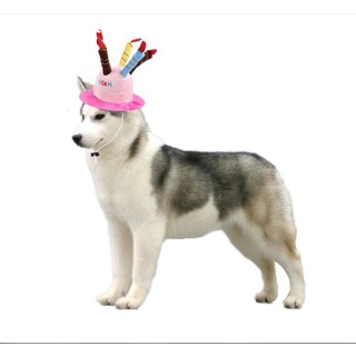 ✺■【LY happy】Cat hat dog hat pet hat cat birthday hat pet decoration cat headdress dog headdress pet (3)