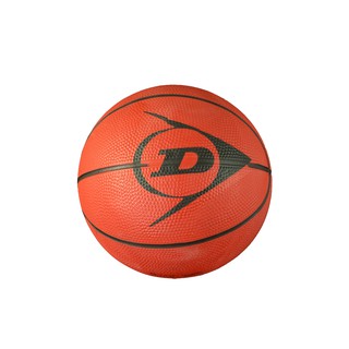 Dunlop Basketball Synergy (Mini)