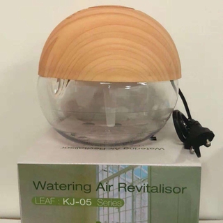 Wood grain water air revitalisor