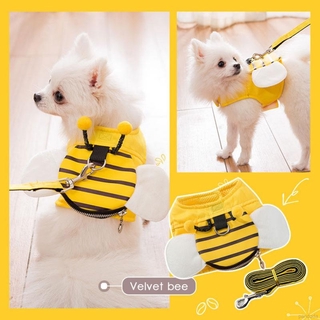 Cute Cat Dog Harness Puppy Fashion Mesh Vest + Leash Lead Set