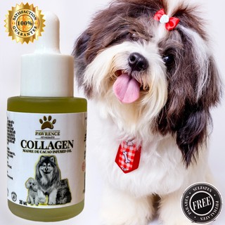 Pawrence Collagen Madre De Cacao Infused Oil