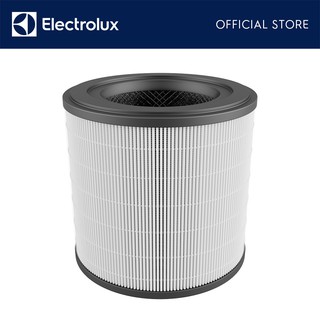Electrolux FA31-202GY Air Purifier Filter 900923217 EFFCLN2