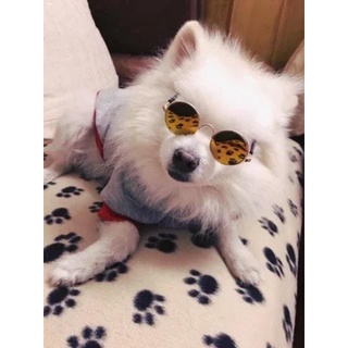 Pet Clothing✁◑∏Pet Dog Cat Pet Shades Pet Sunglasses