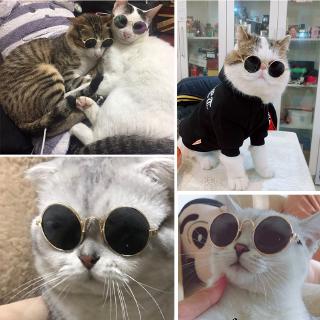 Pet Products Lovely Vintage Round Cat Sunglasses Reflection Eye wear glasses For Small Dog Cat Pet Photos Props Accessories (6)