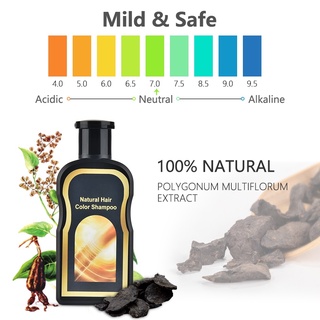 Black hair shampoo natural Polygonum multiflorum anti-dandruff moisturizing anti-hair loss shampoo (5)