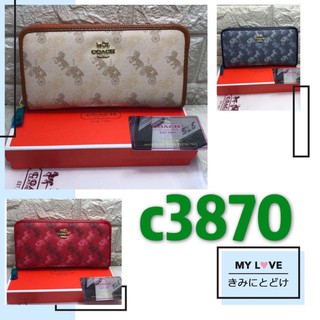 wallet for women wallet zipper c3870 (with box )
