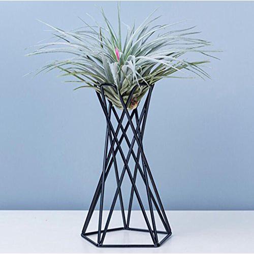 Metal Big Air Plant Holders Big Air Plant Stands Containers (1)