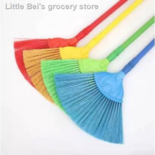 ✎Extendable Plastic Handle and Whisk Broom ( Walis Tambo)