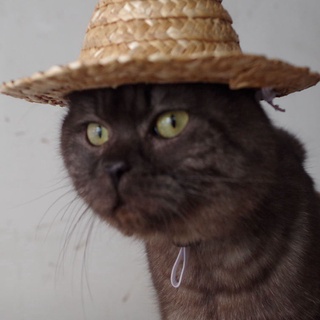 Fash Novelty Summer Adjustable Pet Dog Outdoor Straw Hat Puppy Small Cat Sunhats