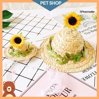 SPB Pet Hat Flower Vine Decoration Knitted Straw Adorable Wide Brim Hat for Dog