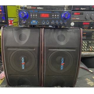 Homevision HV630 300watts speaker w/ amplifier with FM/BLUETOOTH/USB/SD free mic remote