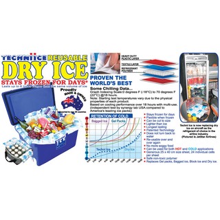 Reusable Non-Toxic "Dry Ice" Pack (6)