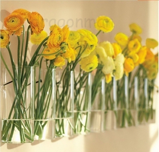 Cylinder Glass Wall Hanging Vase Bottle Vases for Plant Flower Home Room Decoration