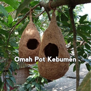 16cm Coconut Fiber Bird Nest for Lovebirds