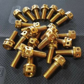 Heng gold bolts 8x30 (price is per piece)