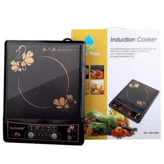 Blue Water Electric Multi-function induction cooker