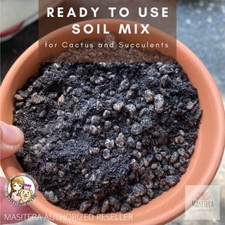 【spot good】๑Masitera Soil Mix for Cactus and Succulents (CNS) Soil less Potting Mix