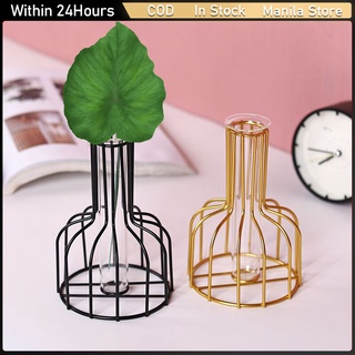 Nordic Creative Wrought Iron Hydroponic Glass Vase Ornaments Home Decoration (Gold/Black)