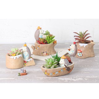 Succulent Pot Hedgehog Design Pot Succulent Pot with Design Garden Pots Cactus Pots