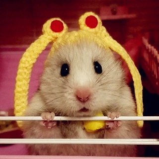[Handmade Custom] Pet Hat Heart Mouse Hat Photography Artifact Hamster Hat Djungarian Hamster Birthday Hat pet hat hamster hat (4)