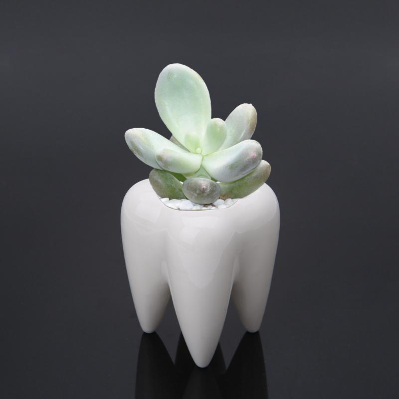 Tooth Shape Ceramic Flower Pot Green Succulent Planter Cactus Container Decor