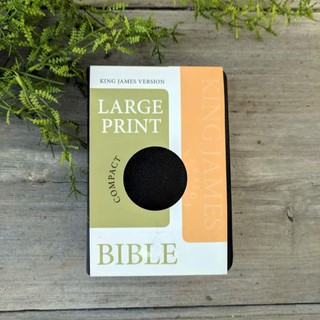 BIBLE KJV SMALL, HANDY SIZE