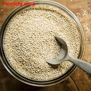 ✒Organic White Quinoa (500g)