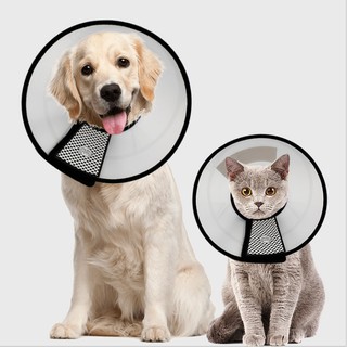 Pet Dog Cone E-collar Pet Elizabeth Cone E-Collar HOT SALE Summer Korean Dog Collar Cone #P002