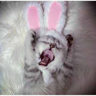☃✻Internet Celebrity Pet Cat MeToo Ears Lion Headgear Rabbit Cat Hat Cute Birthday Christmas Headwea