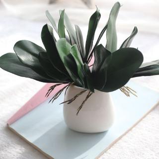 Ready Simulation Green Leaf Of Butterfly Orchid Flower Bouquet Artificial Plant