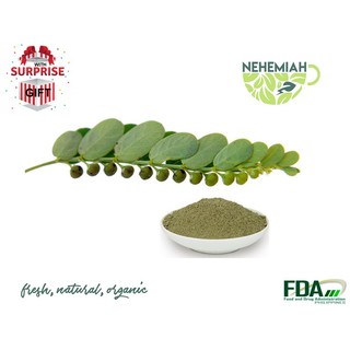NEHEMIAH SUPERFOOD Pure Sampa-sampalukan Sampasampalukan (Chanca Piedra) Powder - Organic 150g (1)