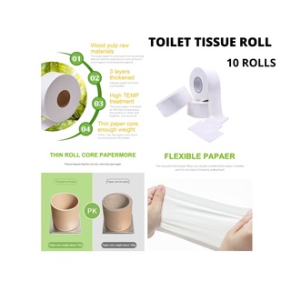 Tissue Toilet Roll (10 rolls) bathroom tissue