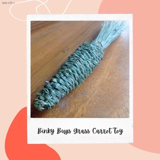 ✇﹍▩Binky Bugs Woven Grass Carrot and Ball for Rabbit or Guinea Pig