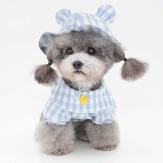 ♟✈Pet hat dog cat hat plaid small fresh and cute ear accessories pet clothes accessories pet sun hat