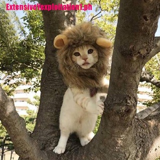 [EPPH]Pet dog hat costume lion mane wig for cat halloween dress up with ears