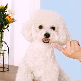 1pc Pet toothbrush Transparent silicone finger toothbrush dog teeth cleaning finger cover (4)