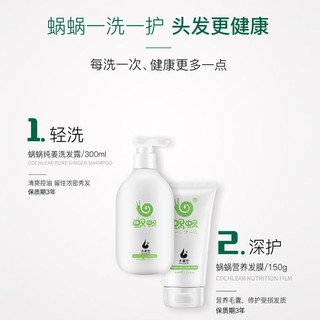 Snail ginger shampoo, anti-hair loss men and women pure ginger shampoo, anti-dandruff, anti-itch, (7)